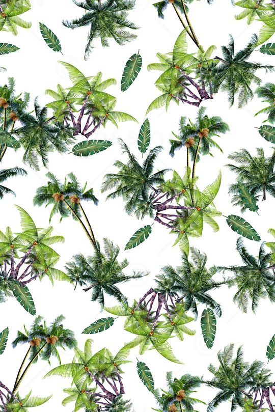 椰子树印花华亿平台图片