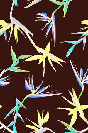 女装印花华亿平台图片