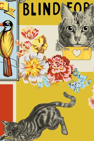 大牌印花华亿平台图片