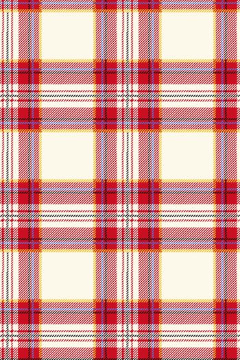 891402-色织格子 格纹--3