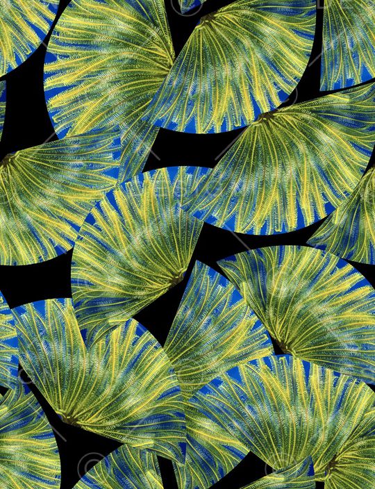 时尚印花华亿平台图片