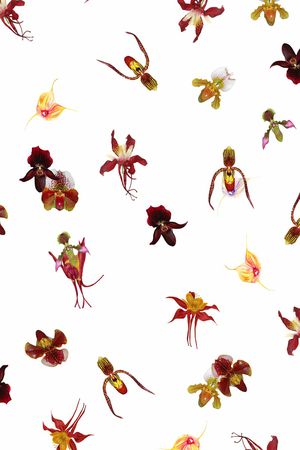 兰花印花华亿平台图片