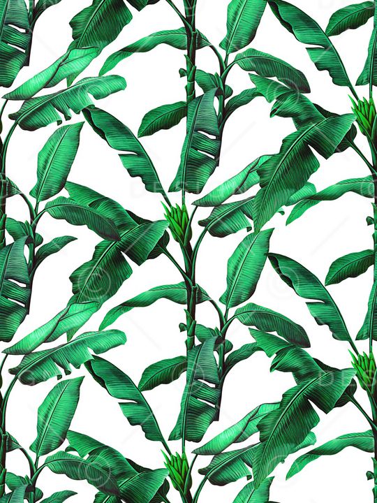 叶子印花华亿平台图片