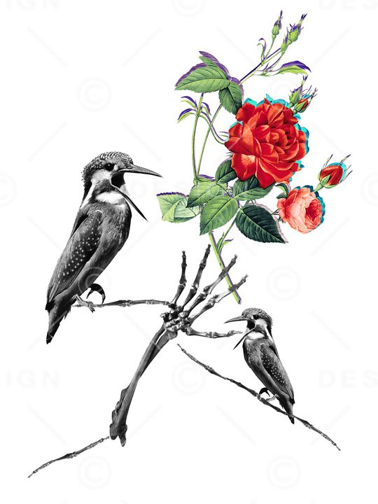 花鸟印花华亿平台图片