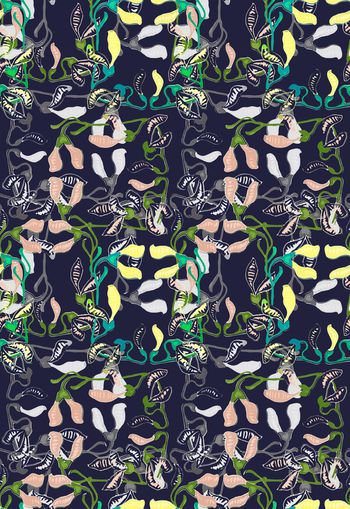 892269-170708-nzhh-2-00