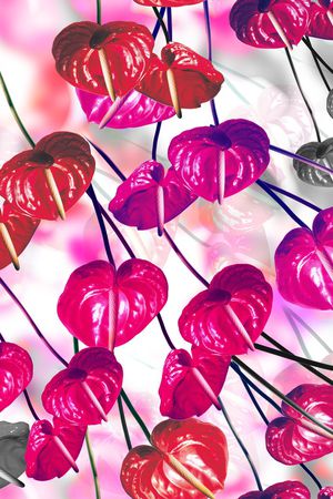 艺术彩色印花华亿平台图片