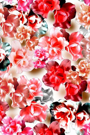 艺术彩色印花华亿平台图片