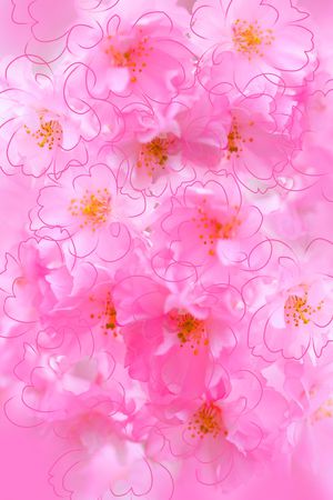 洋阳---定位印花华亿平台图片