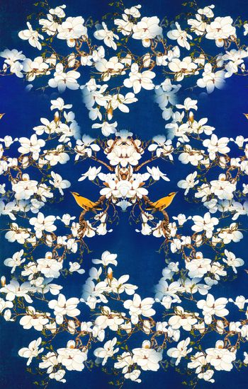 893076-手绘中国风郁金香花鸟