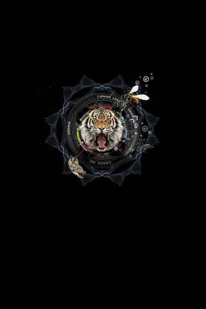 灵感印花华亿平台图片