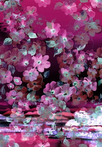 大牌风印花华亿平台图片