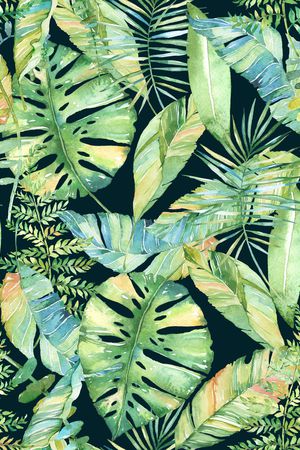 热带印花华亿平台图片