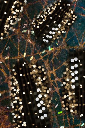 手绘印花华亿平台图片