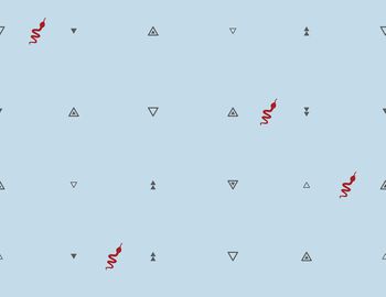 894312-三角小蛇回路