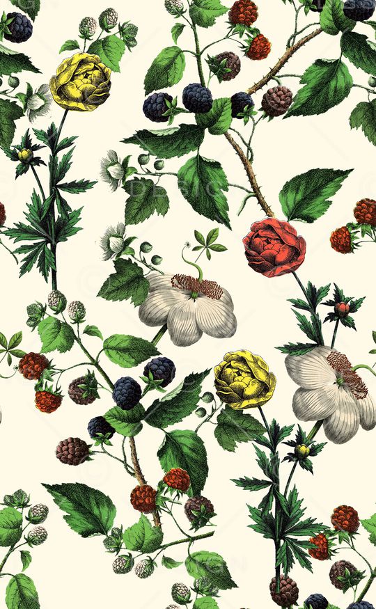 高清花卉印花华亿平台图片