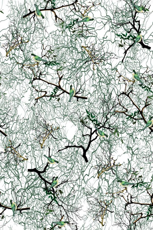 花鸟印花华亿平台图片