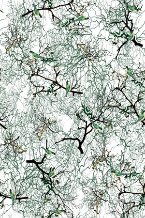 花鸟印花华亿平台图片