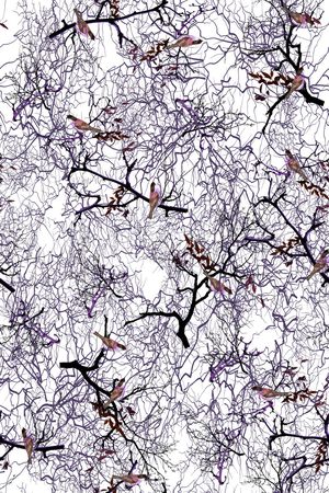 花鸟印花华亿平台图片