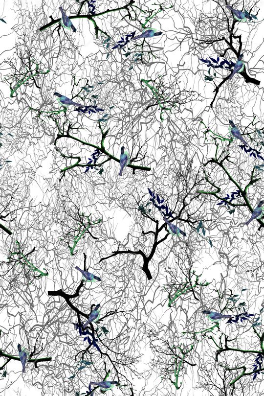 花鸟印花华亿平台图片