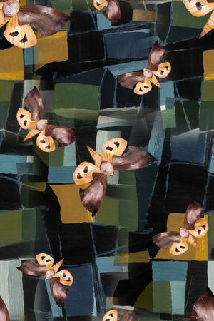 蝴蝶印花华亿平台图片