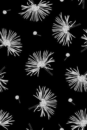 男装满版花印花华亿平台图片