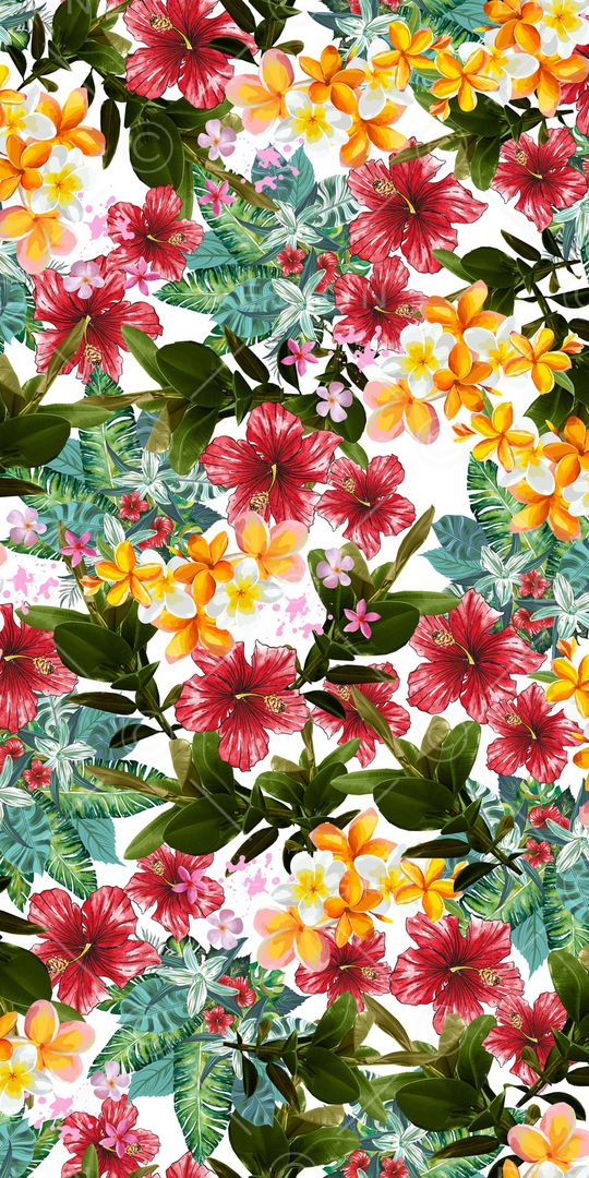 热带印花华亿平台图片