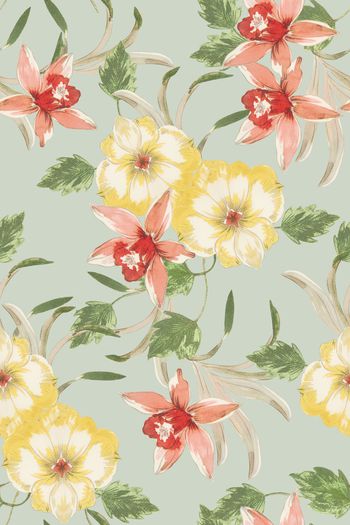 894914-花卉清晰碎花粉底