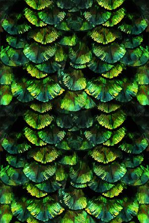 迷彩印花华亿平台图片