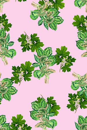 春夏华亿平台印花华亿平台图片