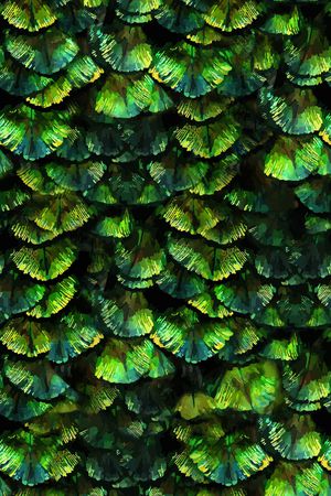 迷彩印花华亿平台图片