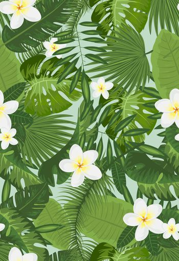 896202-146薄荷叶子