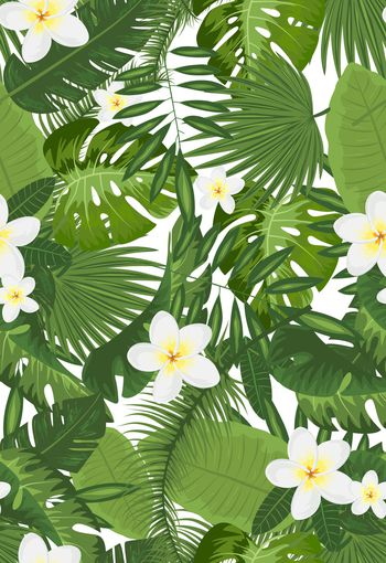 896203-146薄荷叶子