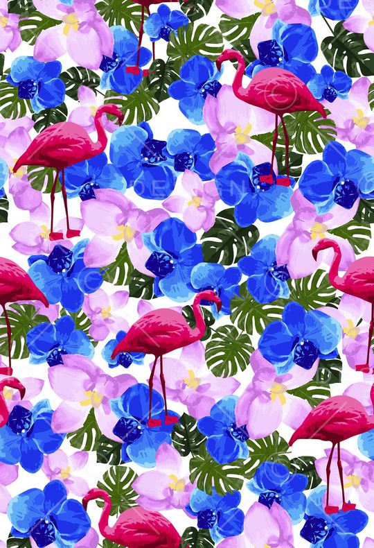 蝴蝶兰印花华亿平台图片