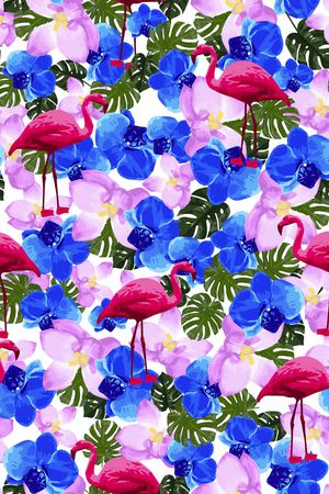 蝴蝶兰印花华亿平台图片