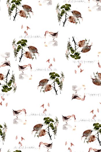 896572-池塘中的鸭