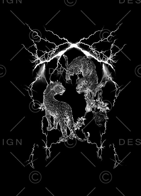 DOLCE GABBANA印花华亿平台图片