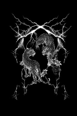 DOLCE GABBANA印花华亿平台图片