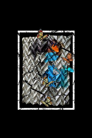 蝴蝶印花华亿平台图片