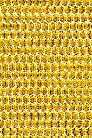 柠檬印花华亿平台图片