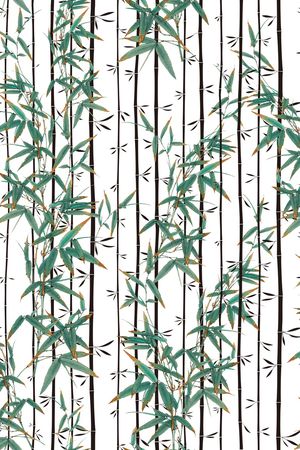 条纹印花华亿平台图片