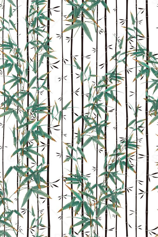 条纹印花华亿平台图片