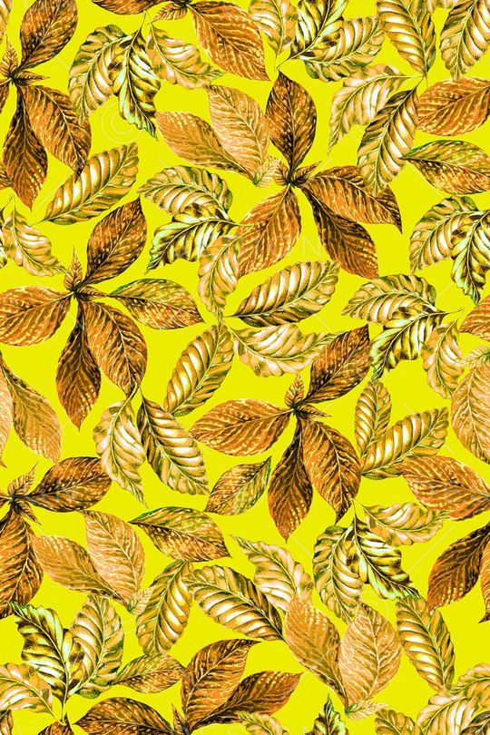 植物印花华亿平台图片