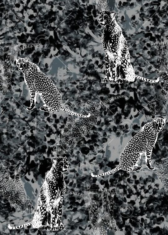 大牌风印花华亿平台图片