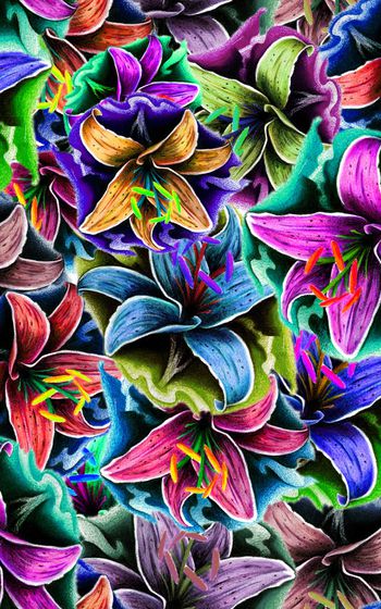 898317-兰花改色副本