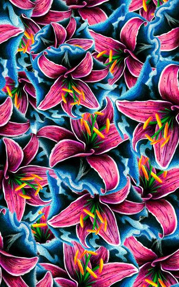 898319-兰花原色副本