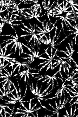 热带印花华亿平台图片