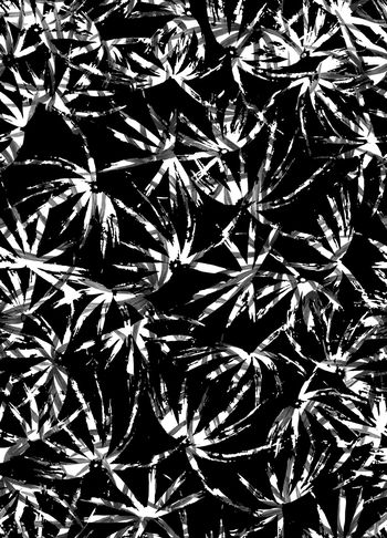 898373-黑白男装热带叶子 Color 1