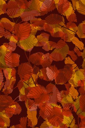 复古印花华亿平台图片