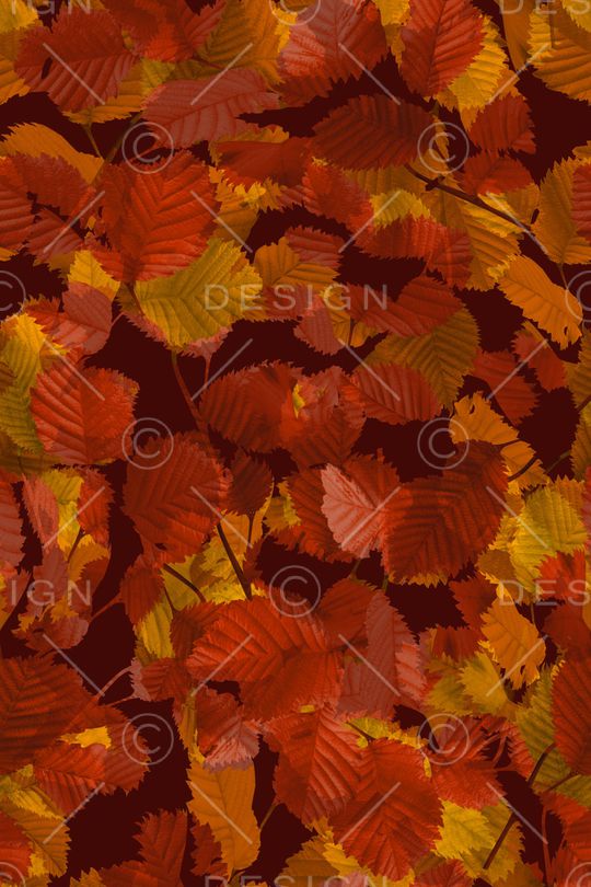 复古印花华亿平台图片