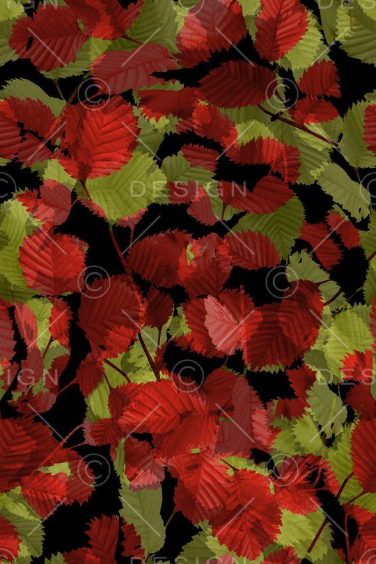 复古印花华亿平台图片